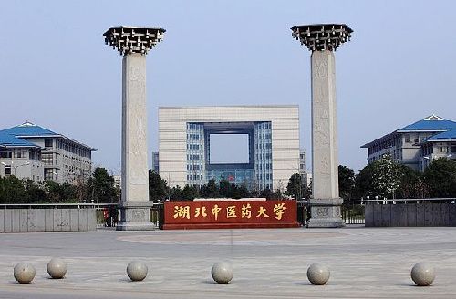 湖北中醫(yī)藥大學(xué)校門