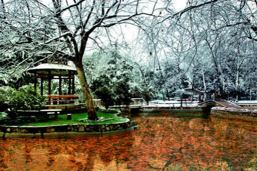 武漢理工大學余區青年園雪景