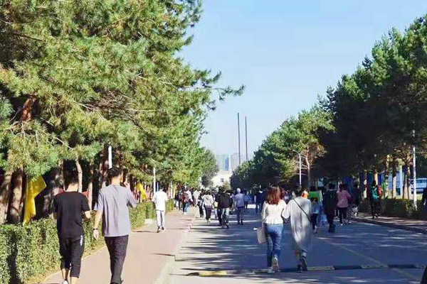 大連民族大學(xué)2024年在上海的錄取分?jǐn)?shù)線(xiàn)（含歷年分?jǐn)?shù)線(xiàn)）