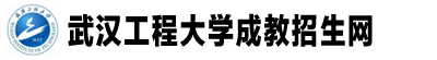 武漢工程大學成教